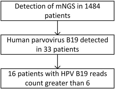 Human parvovirus outlet treatment